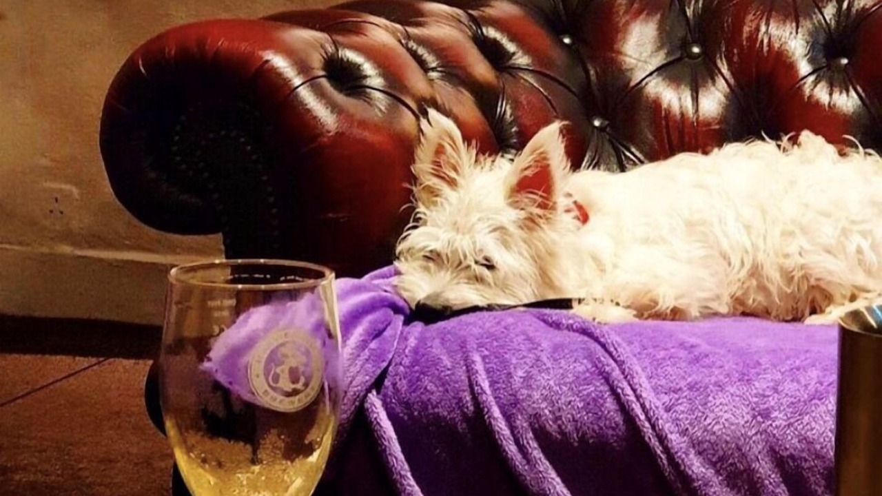 Photo of Others in Glendevon