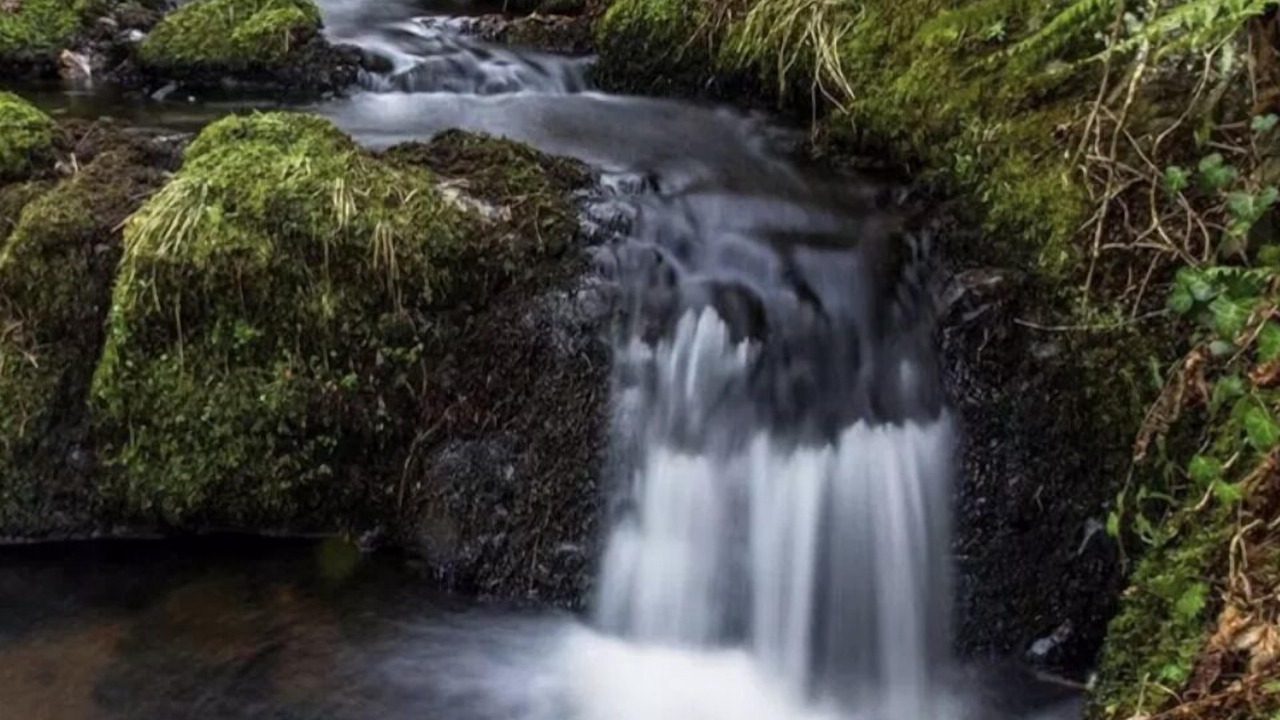 Photo of Outdoor in Glendevon