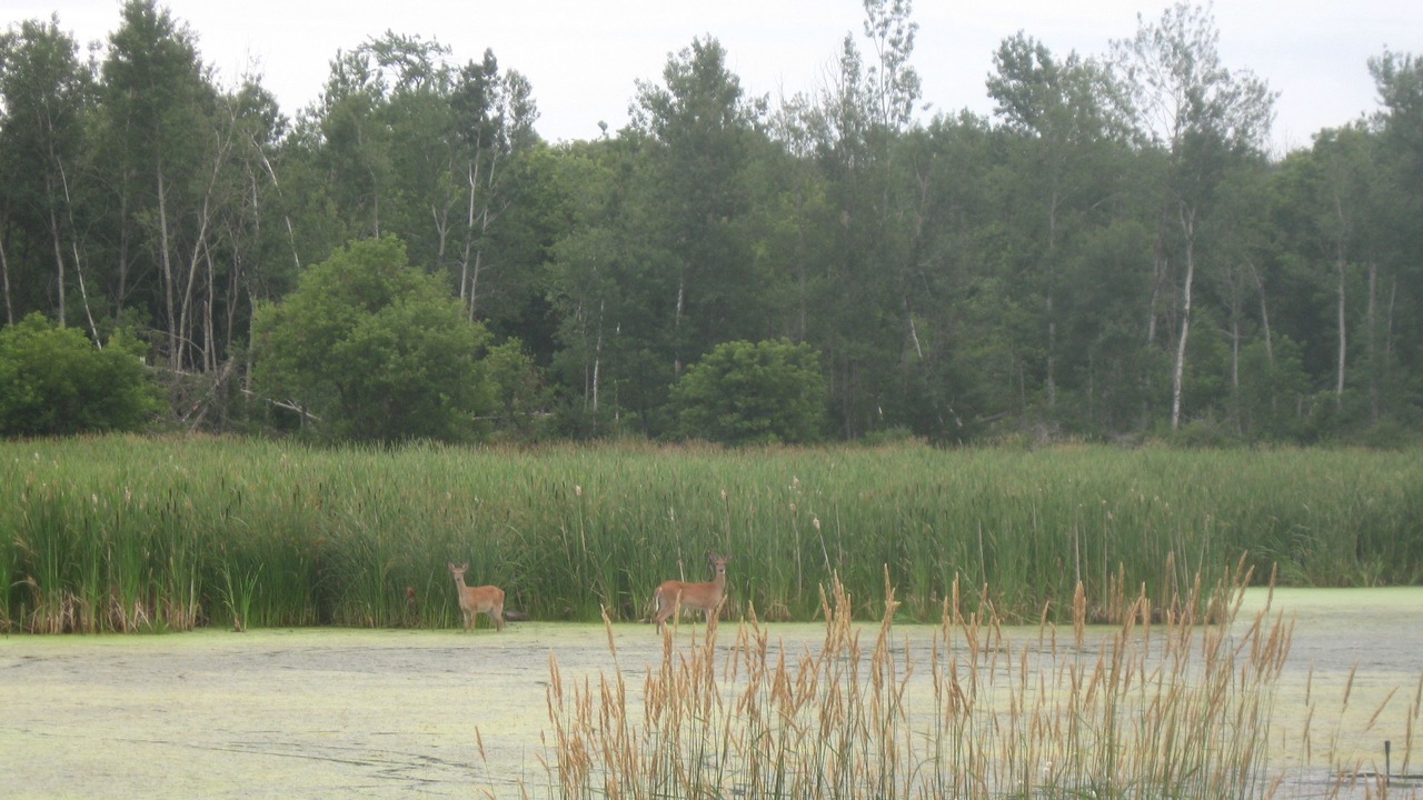 Photo of Outdoor in Beulah