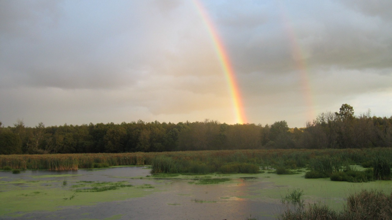 Photo of Outdoor in Beulah