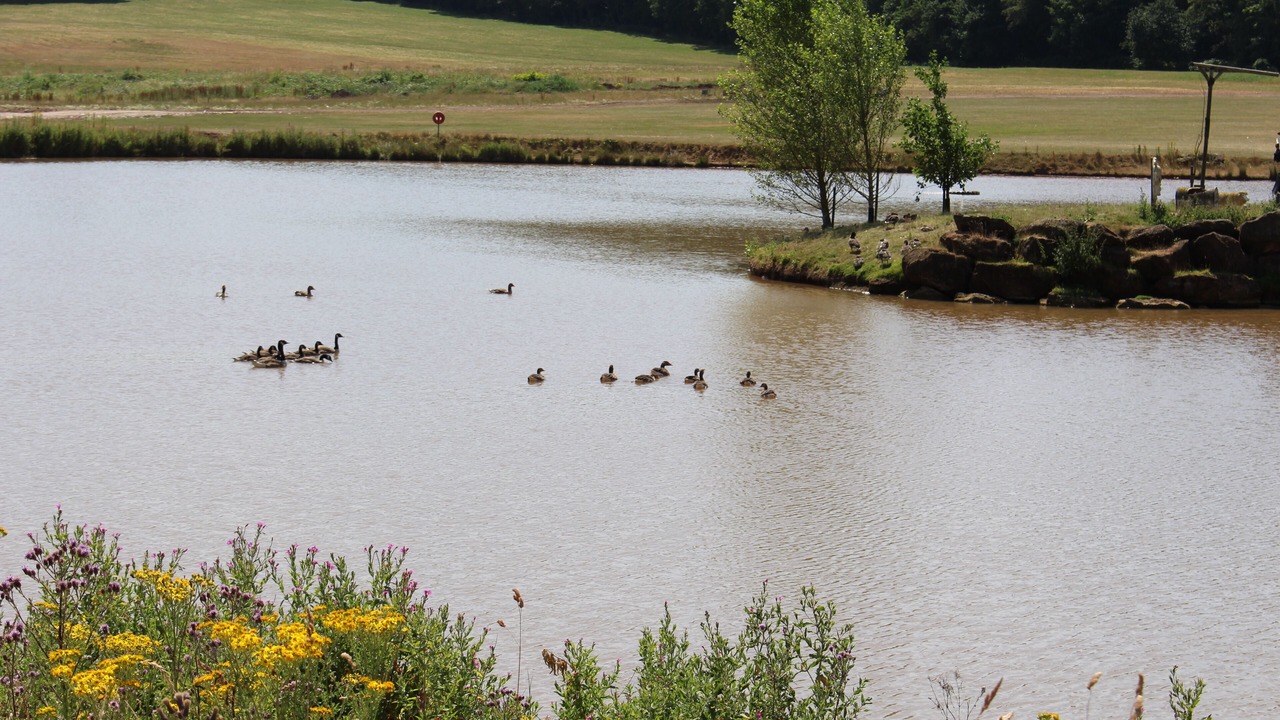 Photo of Outdoor in Pipe Gate