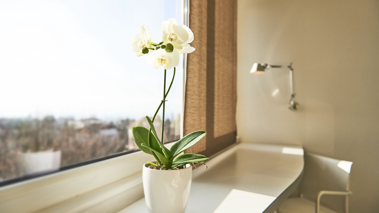 Photo of Bedroom in Vevey