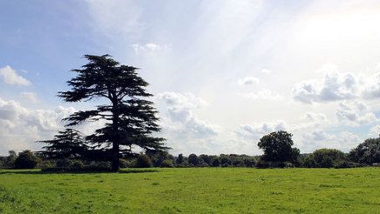 Photo of Outdoor in Hambrook