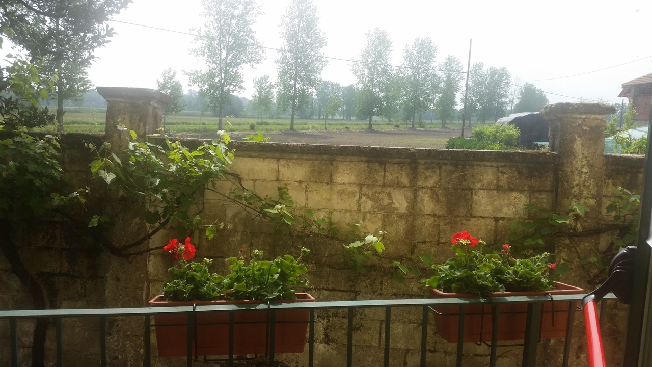 Photo of Outdoor in Ozzero