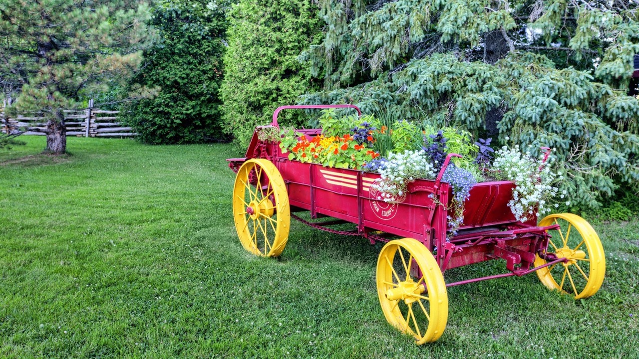 Photo of Outdoor in Chateau-Richer