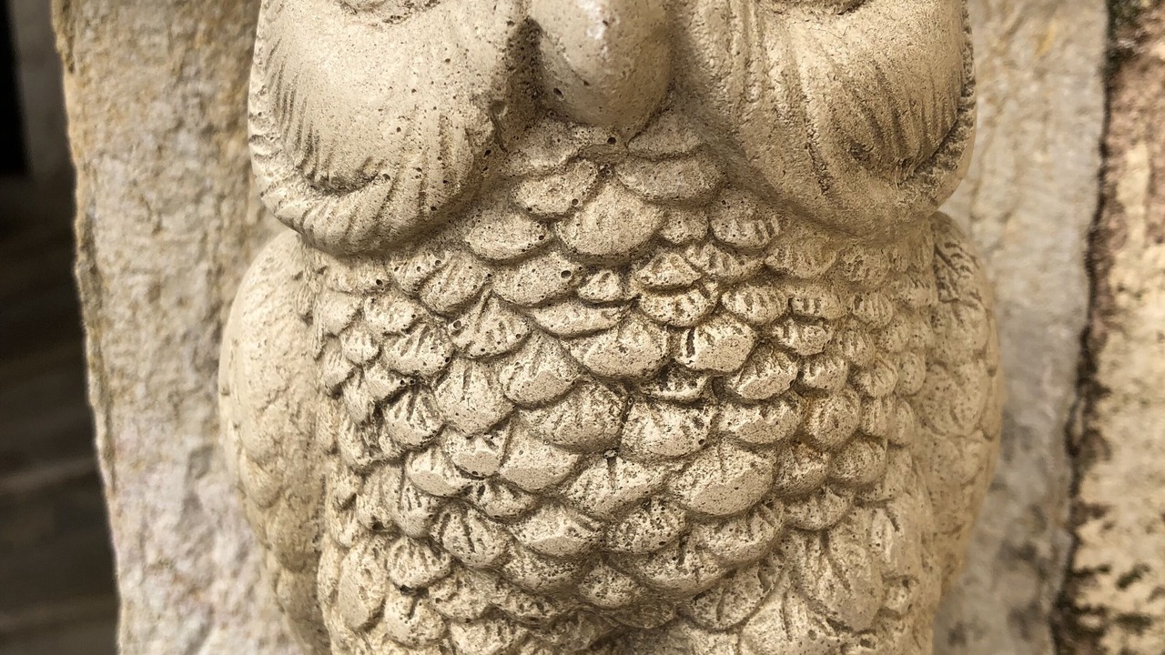 Photo of Outdoor in Arc-sur-Tille