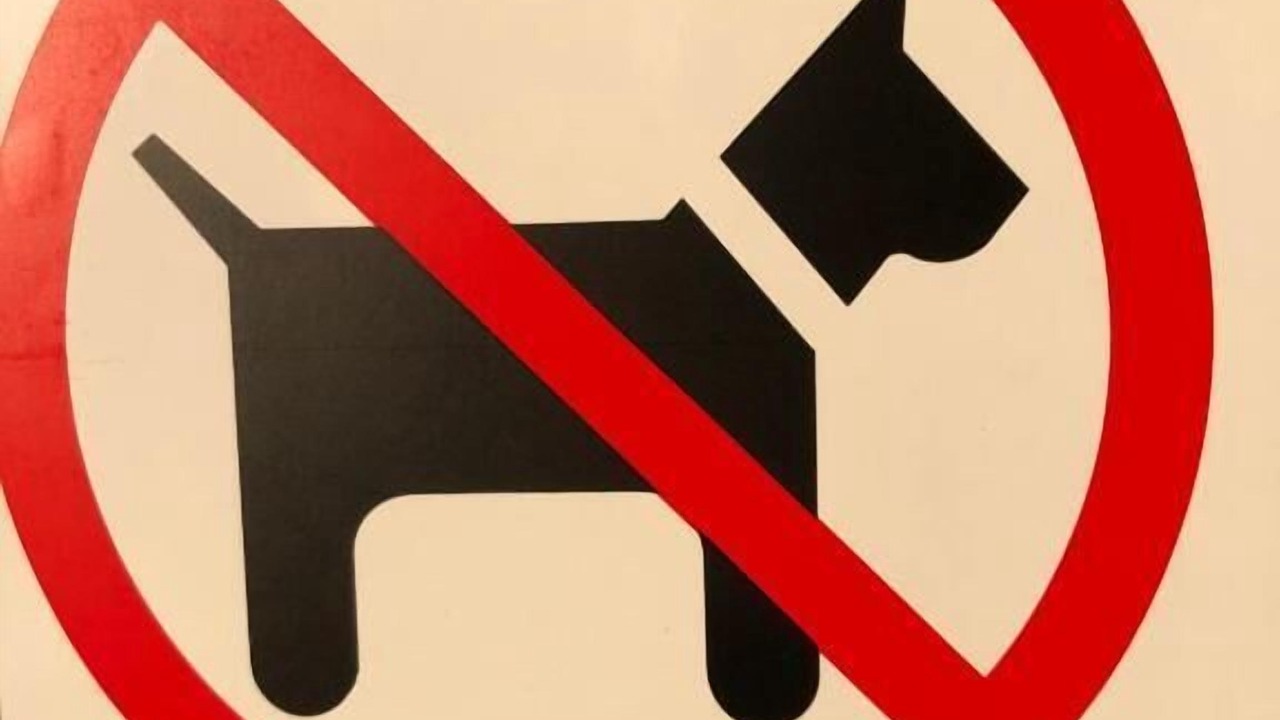 Photo of Others in Arc-sur-Tille