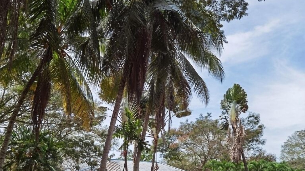 Photo of Outdoor in Sungai Petani
