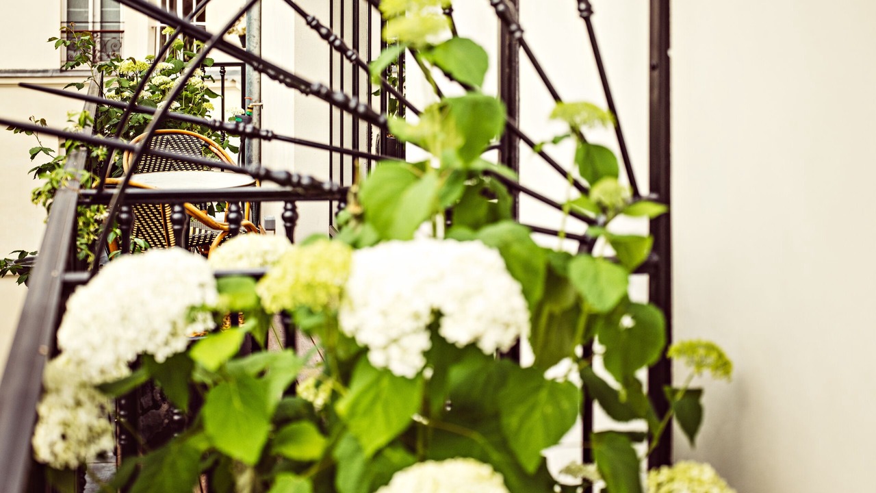 Photo of Others in Batignolles