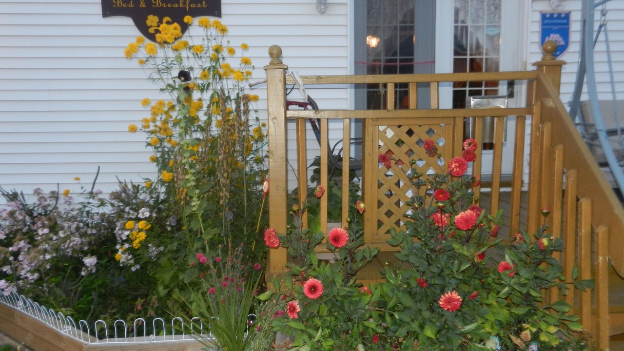 Photo of Outdoor in Sainte-Anne-des-Monts