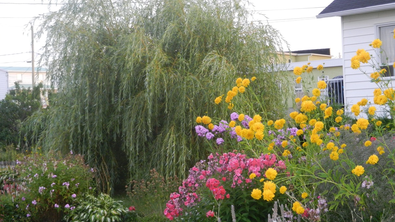 Photo of Outdoor in Sainte-Anne-des-Monts