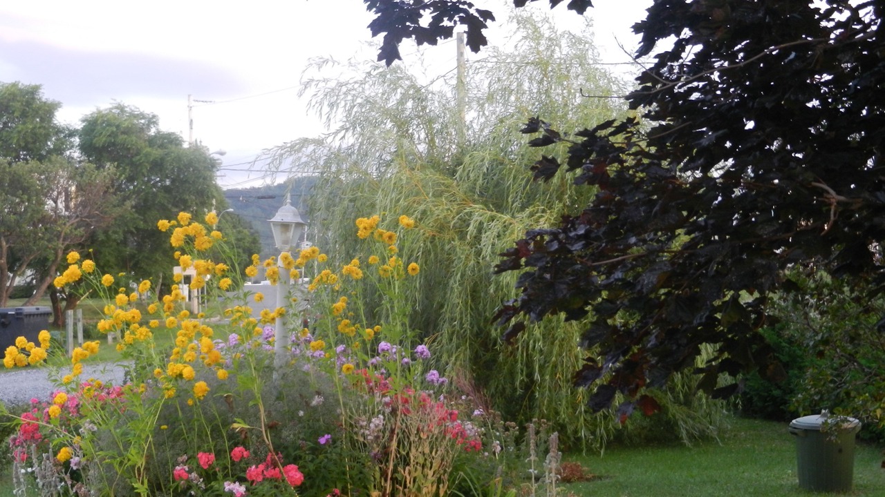 Photo of Outdoor in Sainte-Anne-des-Monts