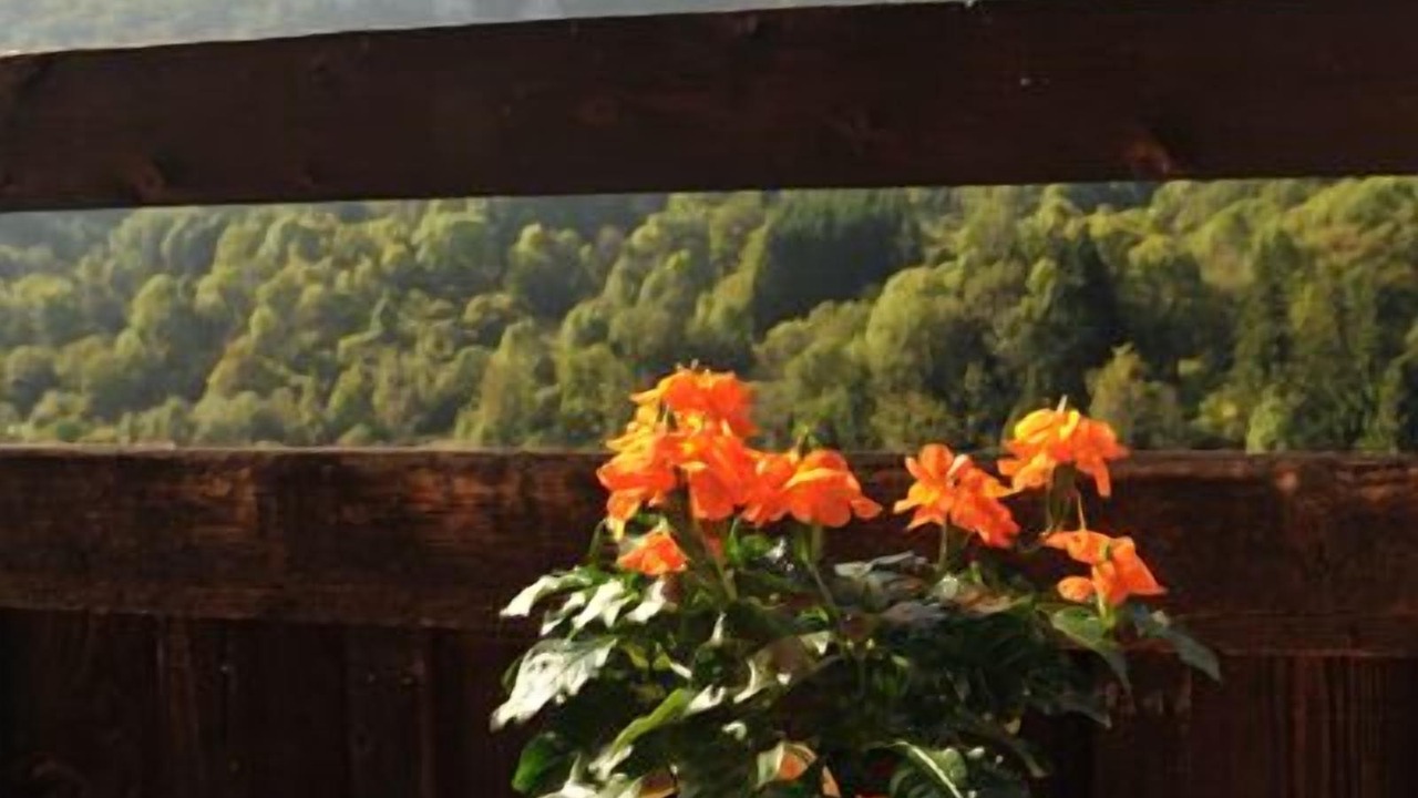 Photo of Others in Mouthier-Haute-Pierre