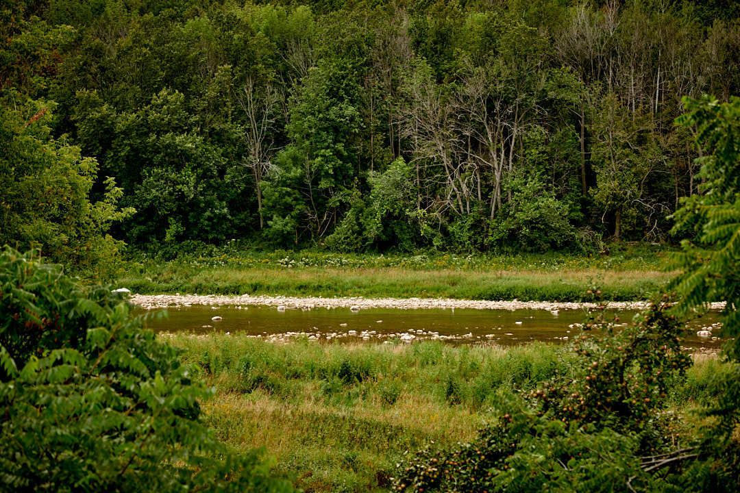 Photo of Others in Ashfield-Colborne-Wawanosh