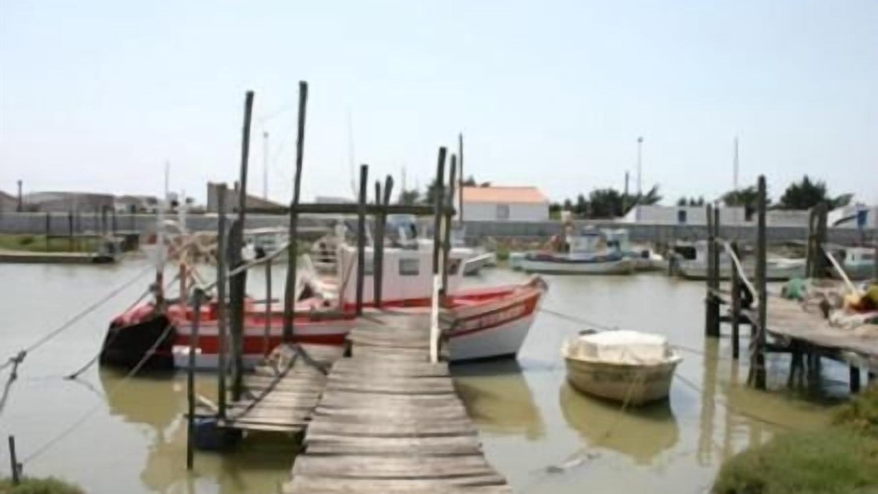 Photo of Outdoor in Beauvoir-sur-Mer