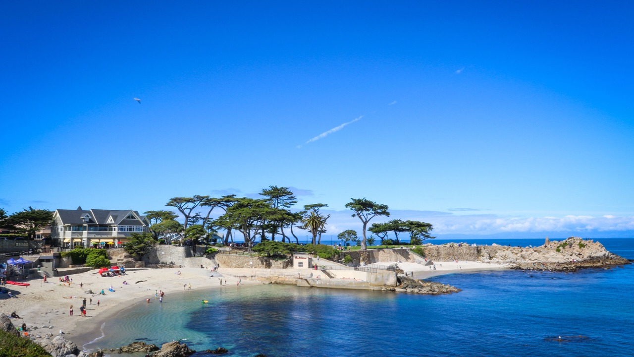 Photo of Others in Pacific Grove