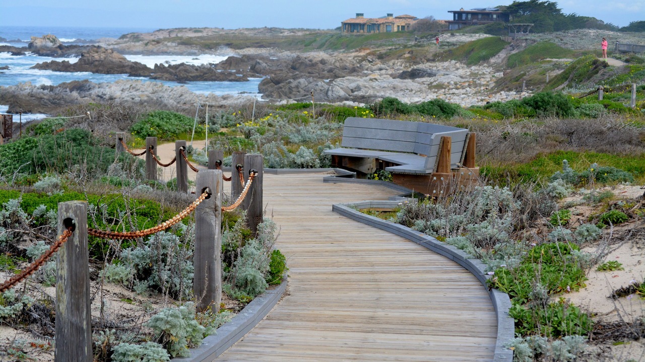 Photo of Others in Pacific Grove