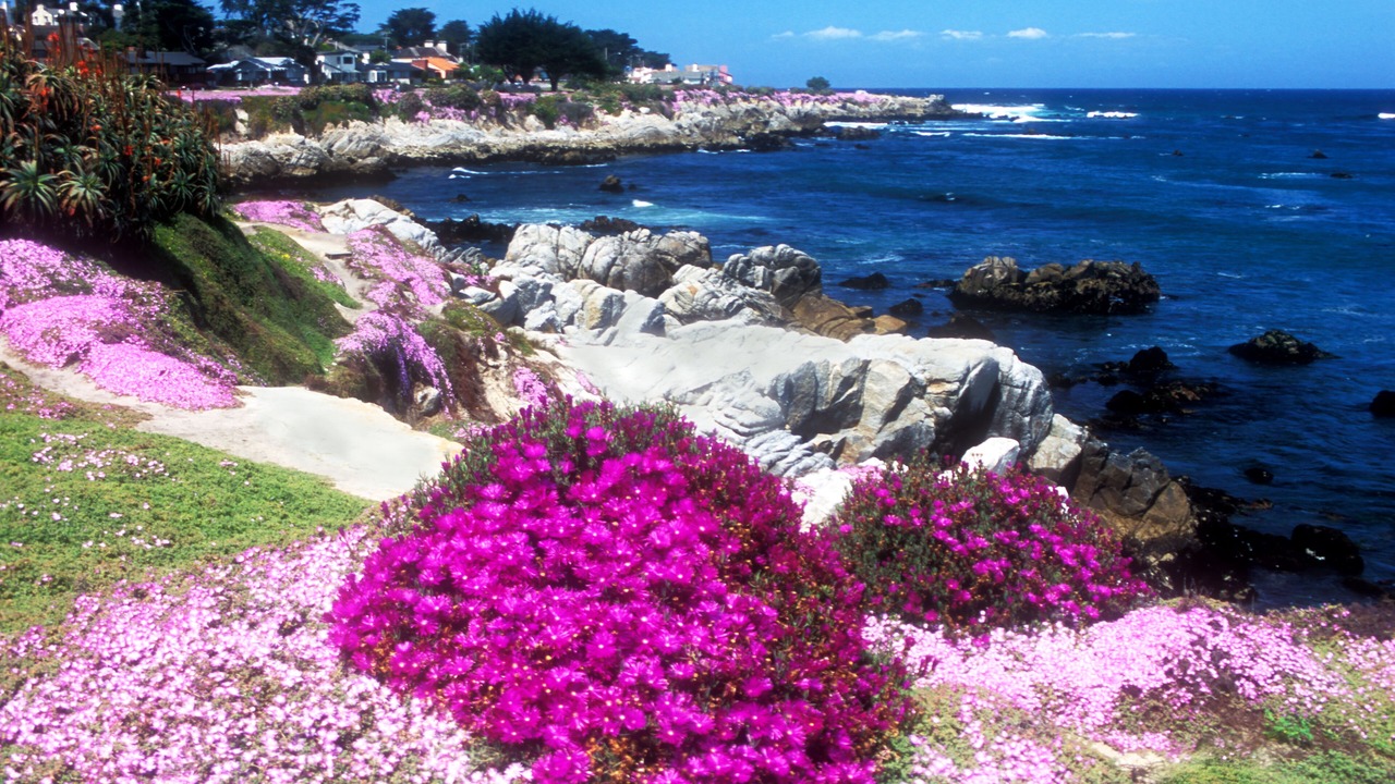 Photo of Others in Pacific Grove