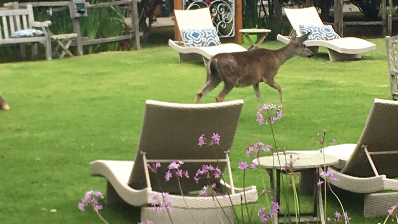 Photo of Outdoor in Pacific Grove