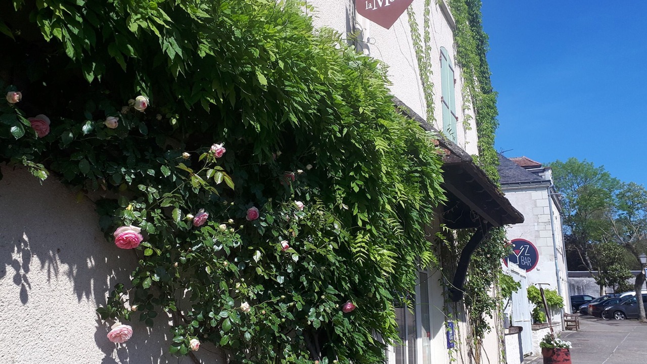 Photo of Outdoor in Yzeures-sur-Creuse