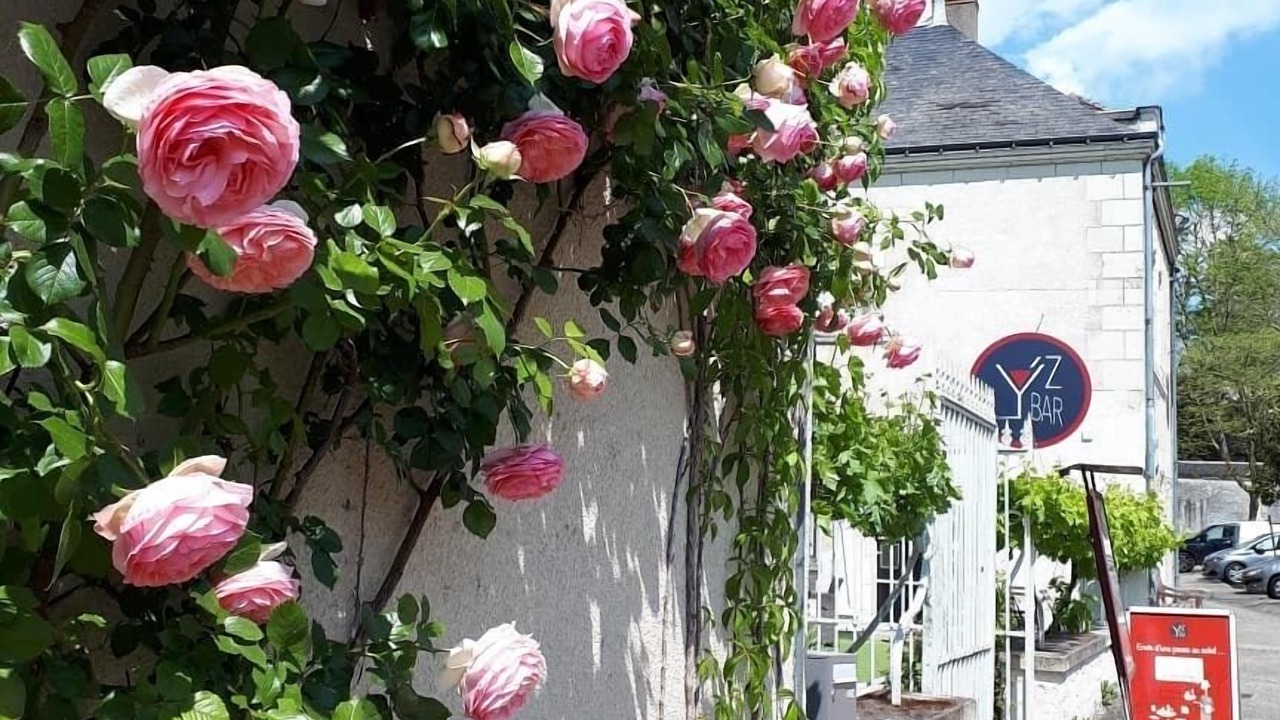 Photo of Outdoor in Yzeures-sur-Creuse