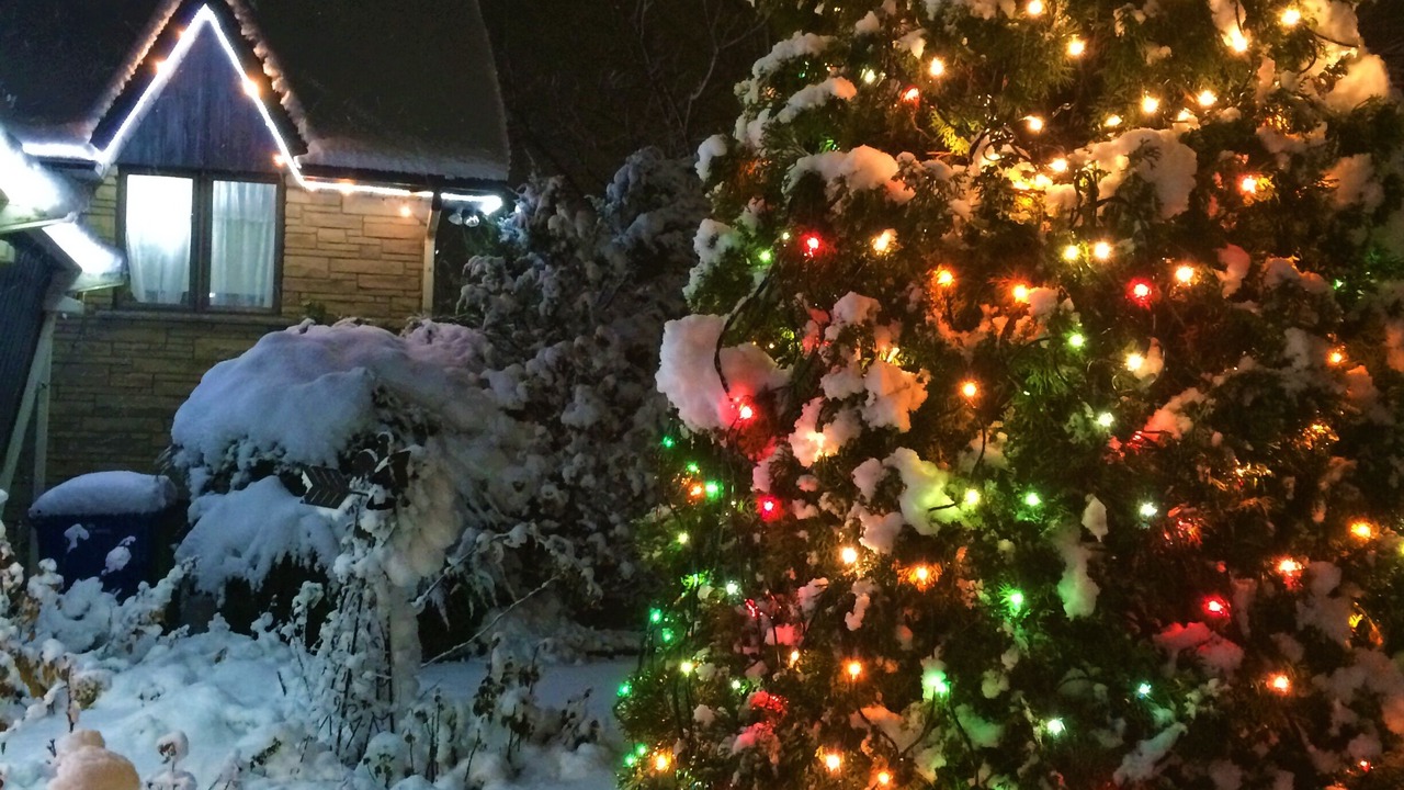 Photo of Outdoor in Granby