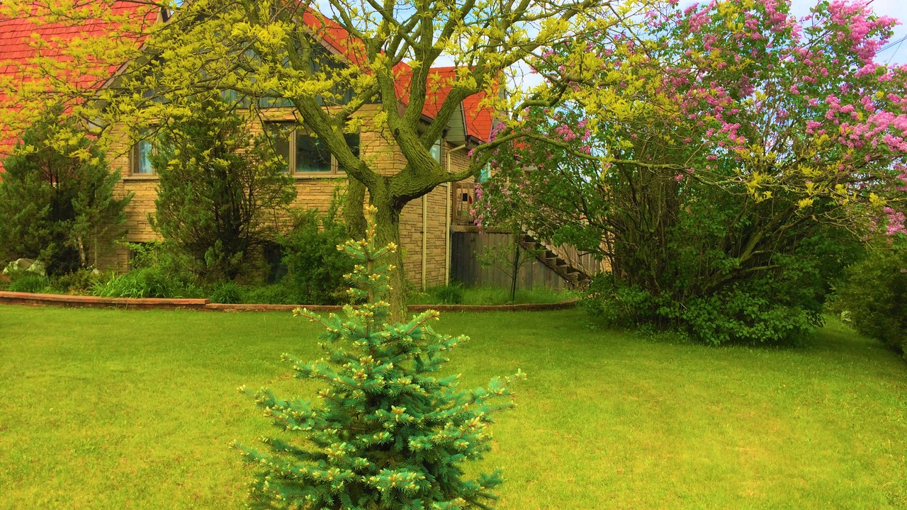 Photo of Outdoor in Granby