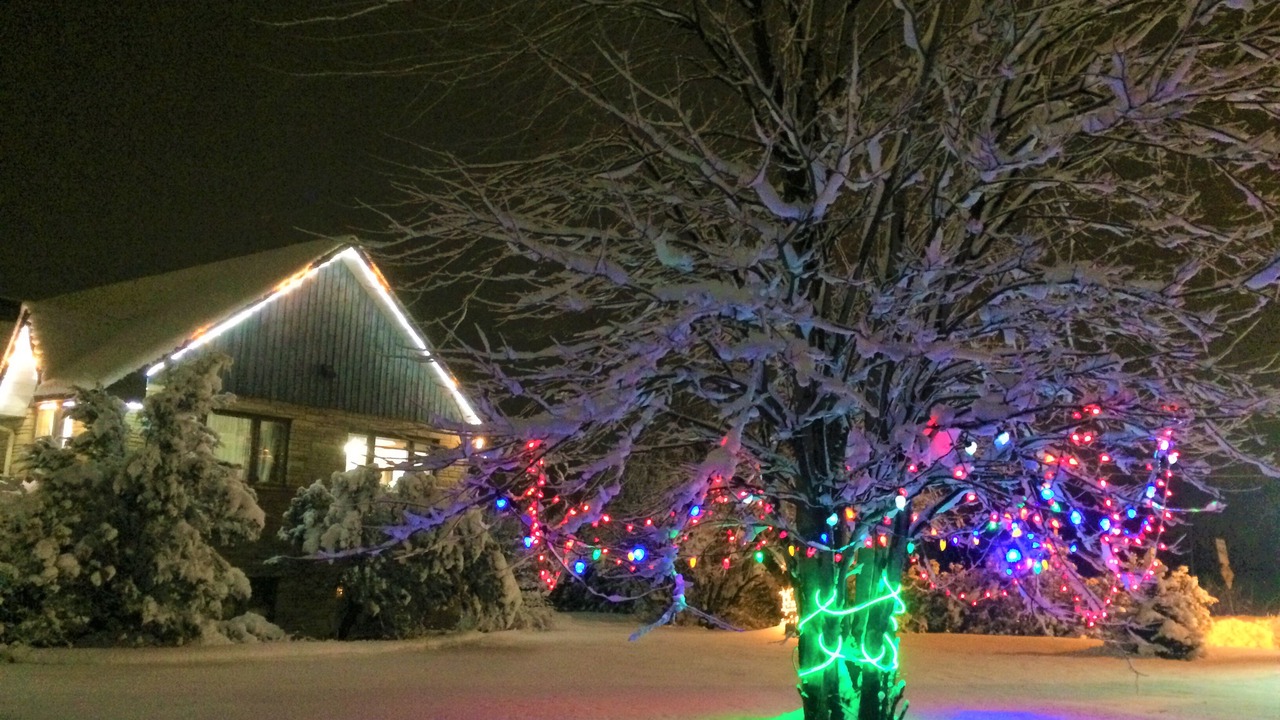 Photo of Outdoor in Granby