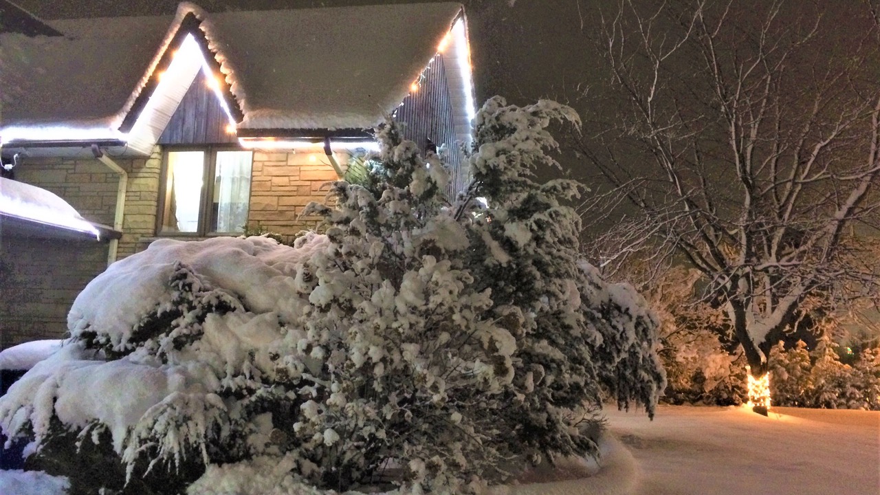 Photo of Outdoor in Granby