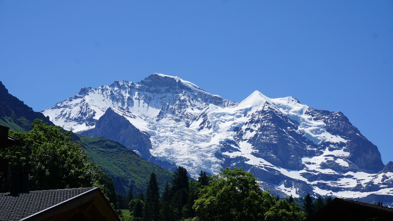 Photo of Bedroom in Wengen