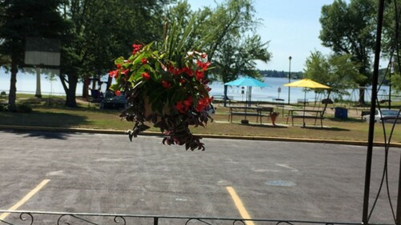 Photo of Outdoor in Tweed