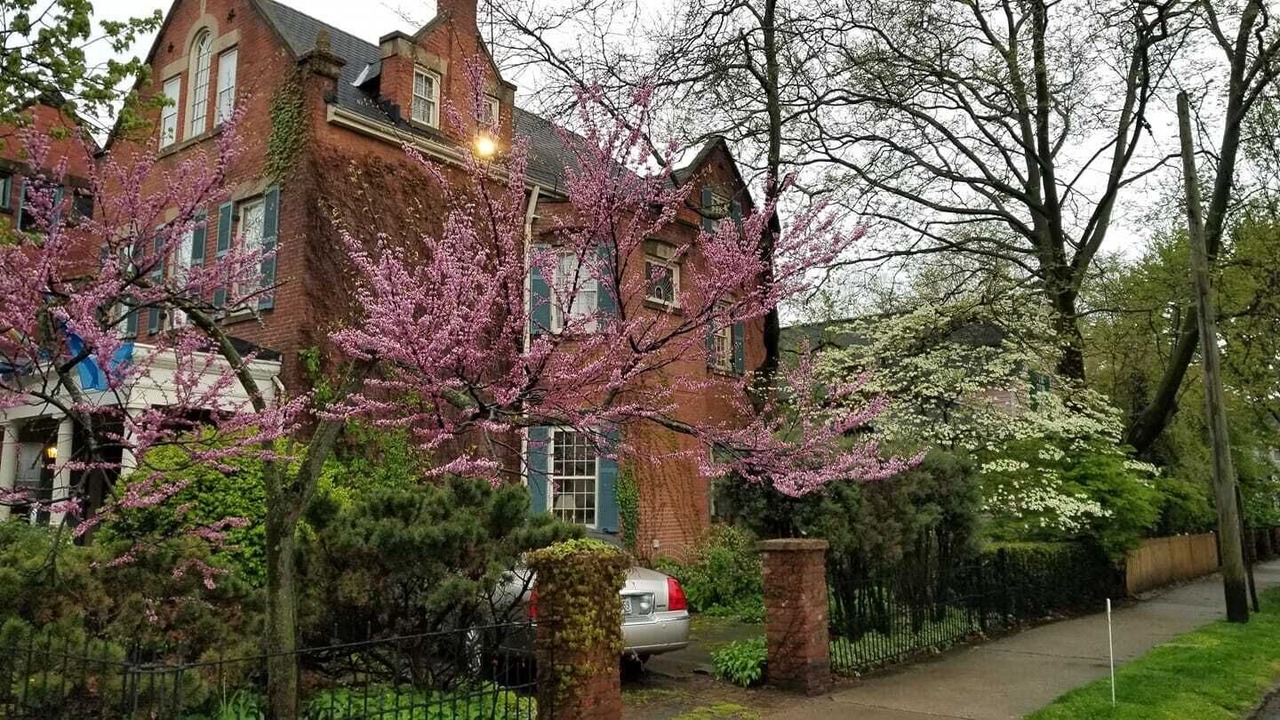 Photo of Outdoor in Ohio City