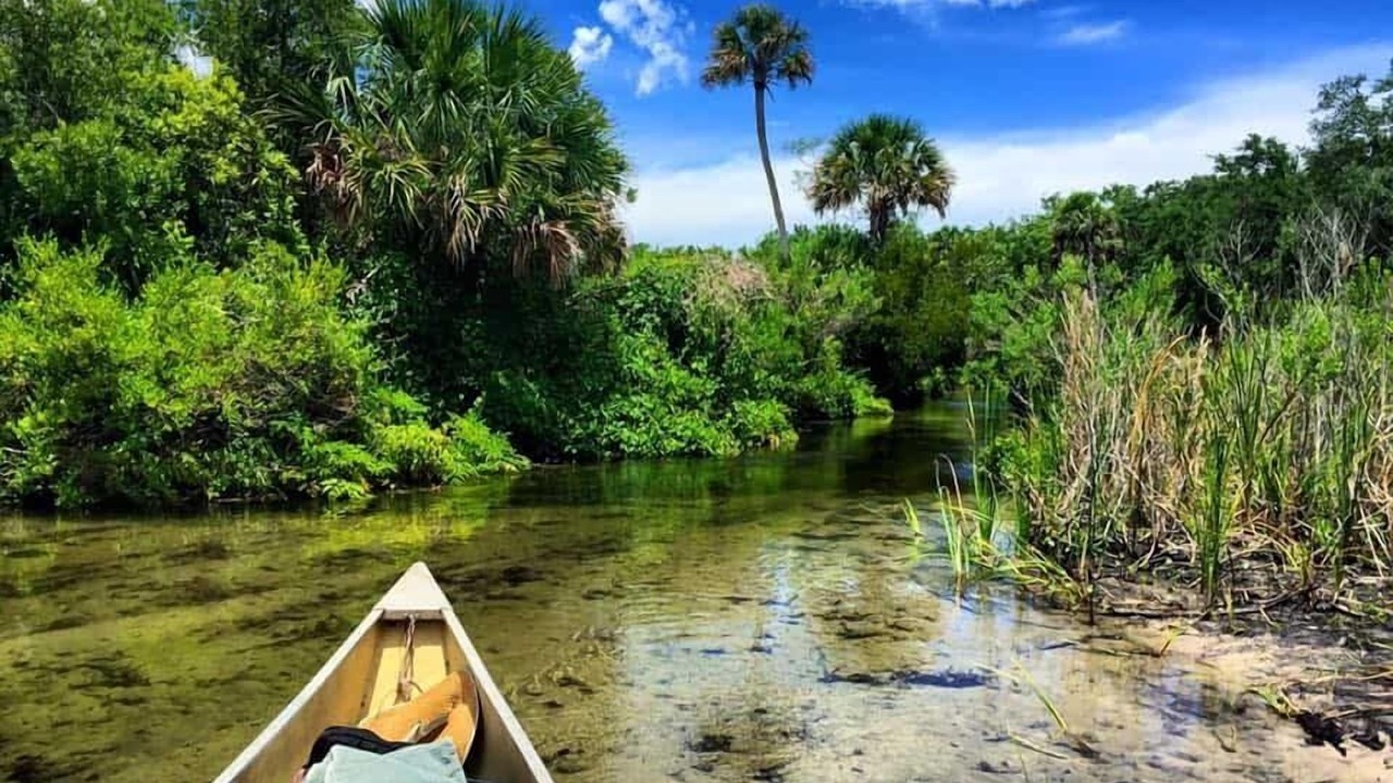 Photo of Others in Ocala