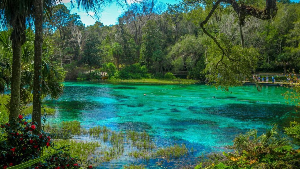 Photo of Others in Ocala
