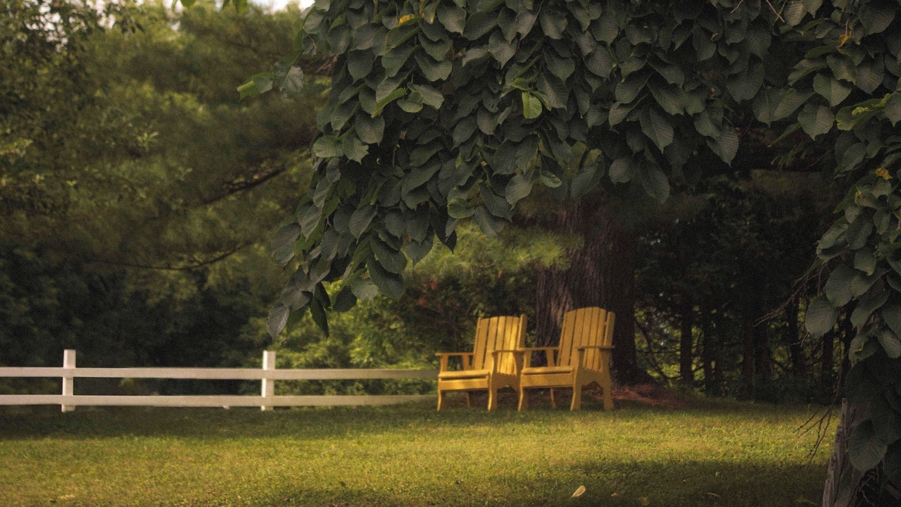 Photo of Outdoor in Knowlton