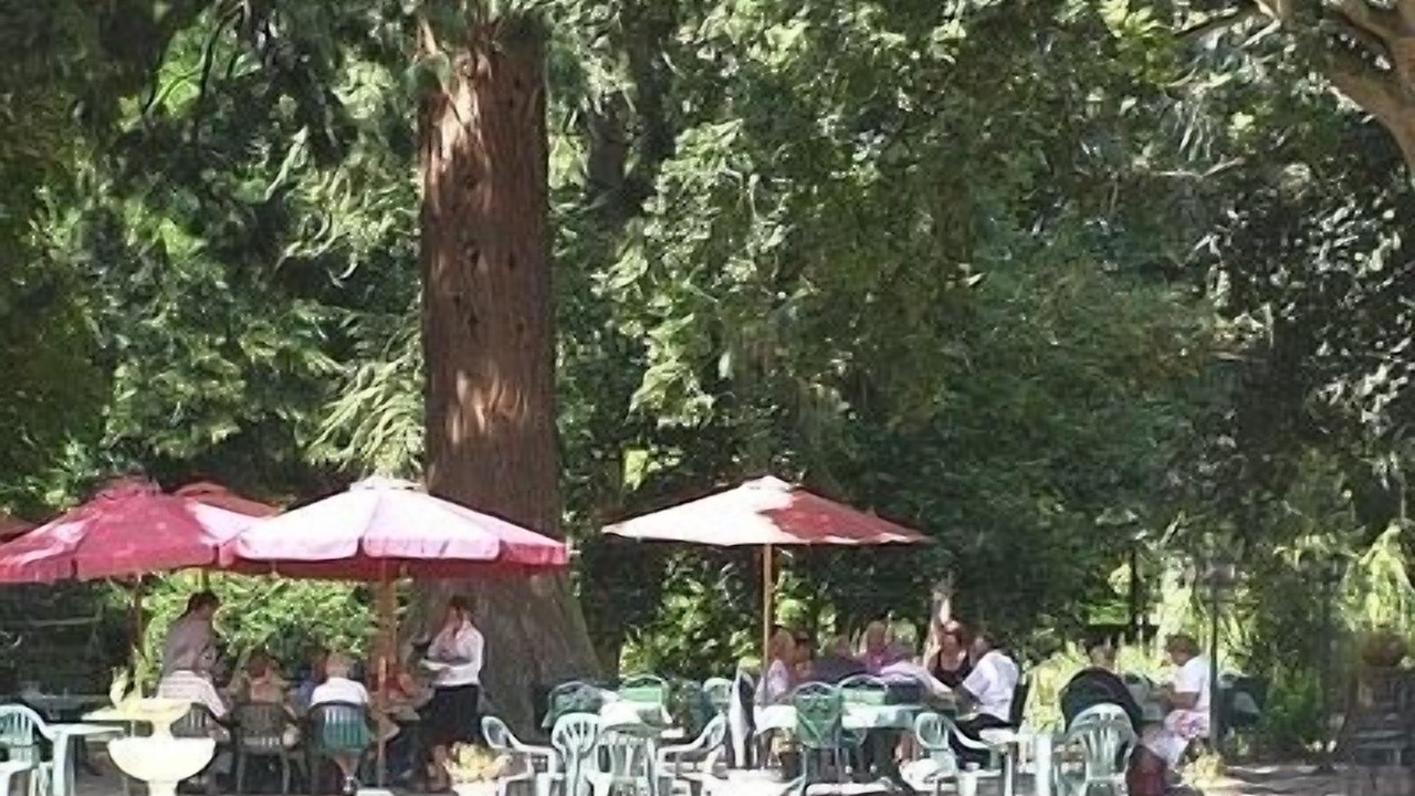 Photo of Others in Clery-Saint-Andre