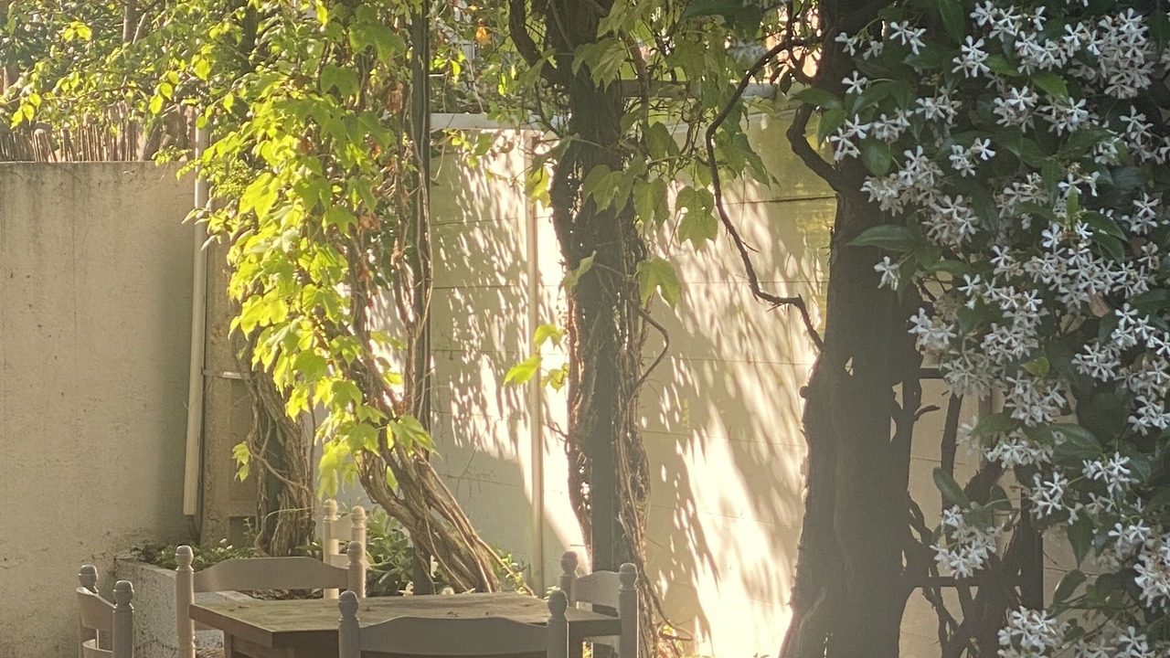 Photo of Patio Balcony in Sainte-Maxime