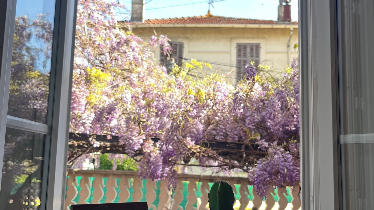 Photo of Others in Sainte-Maxime