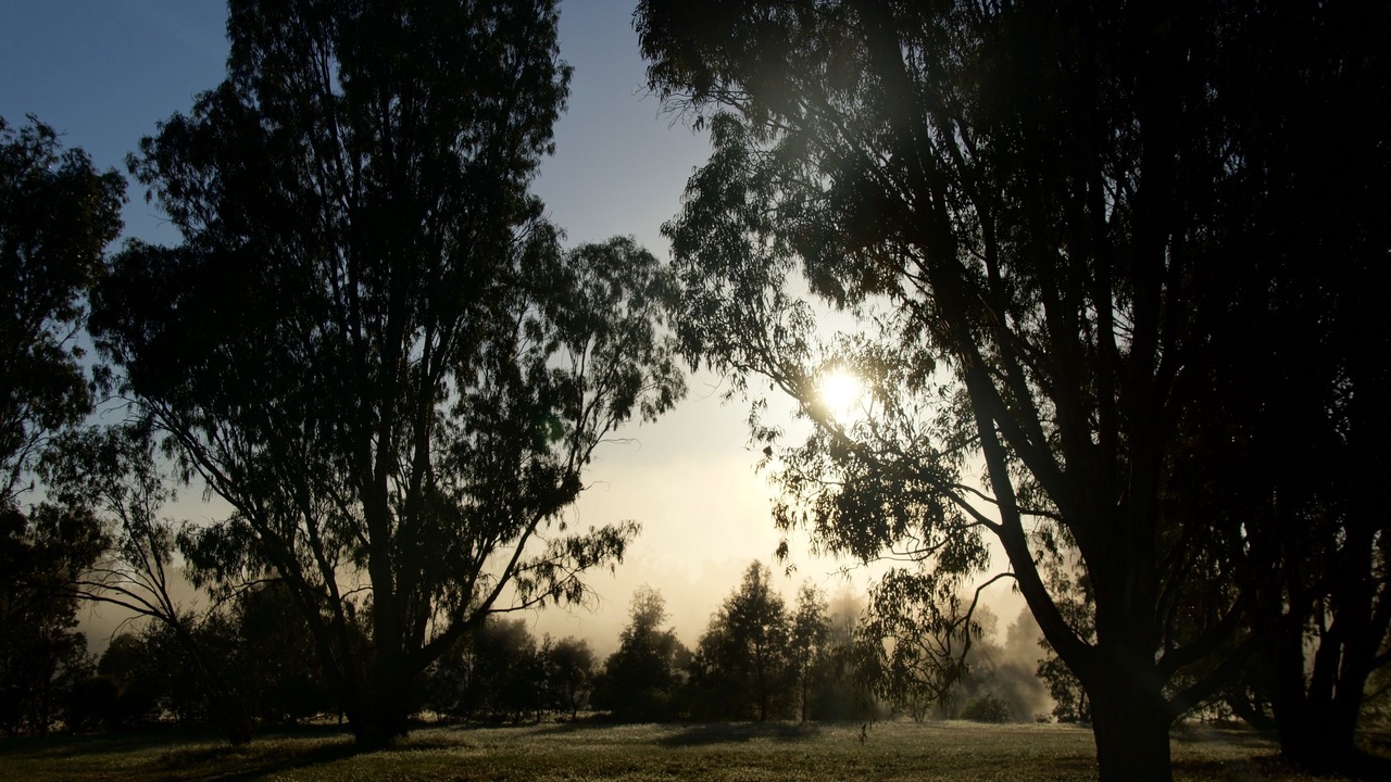 Photo of Others in Koonoomoo