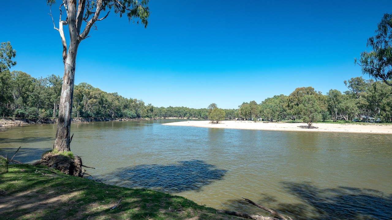 Photo of Others in Koonoomoo