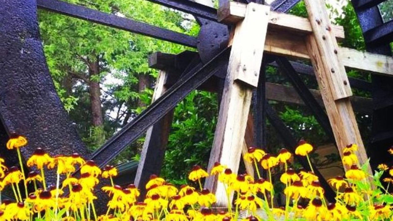 Photo of Outdoor in Williamsburg