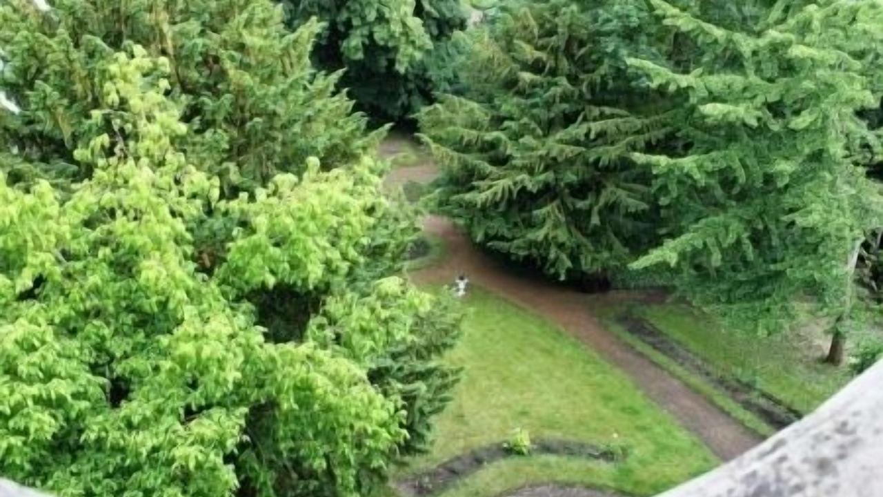 Photo of Patio Balcony in Douai