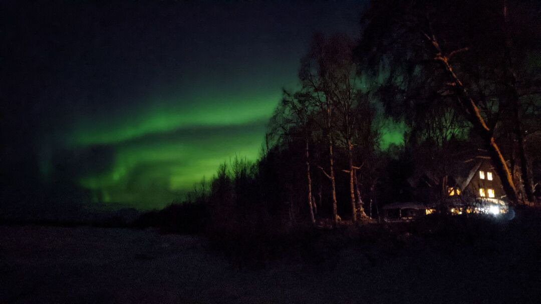 Photo of Others in Talkeetna