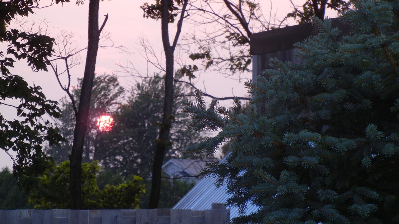 Photo of Outdoor in Ruthven