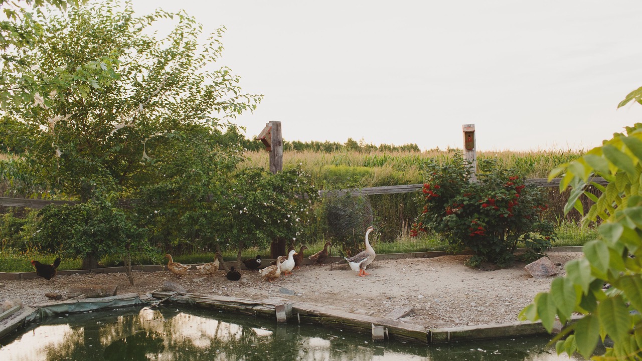 Photo of Others in Ruthven