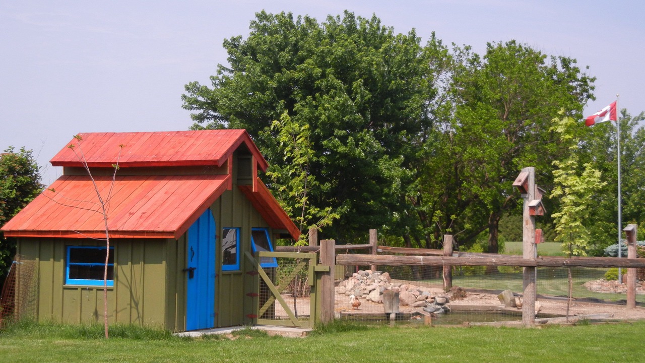 Photo of Outdoor in Ruthven
