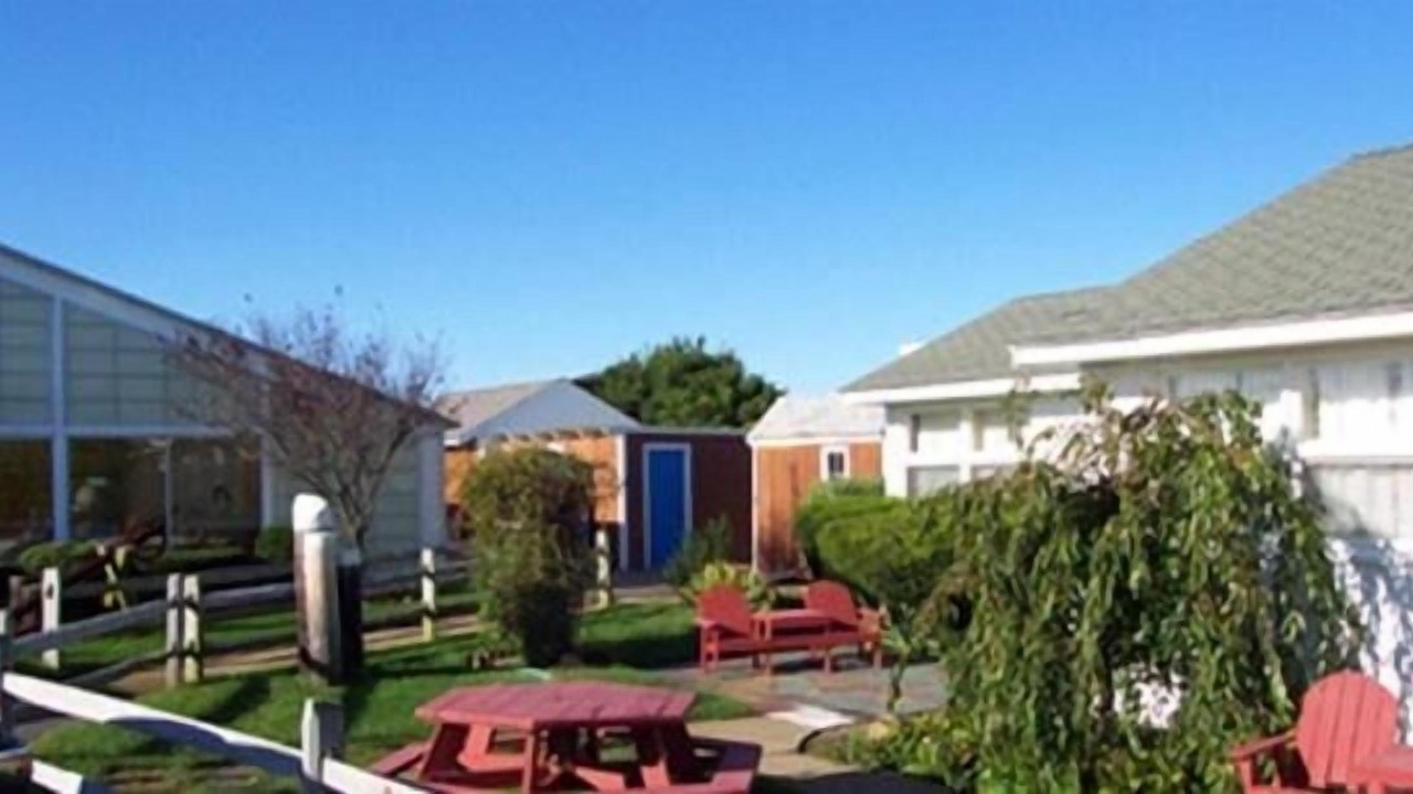 Photo of Outdoor in North Truro