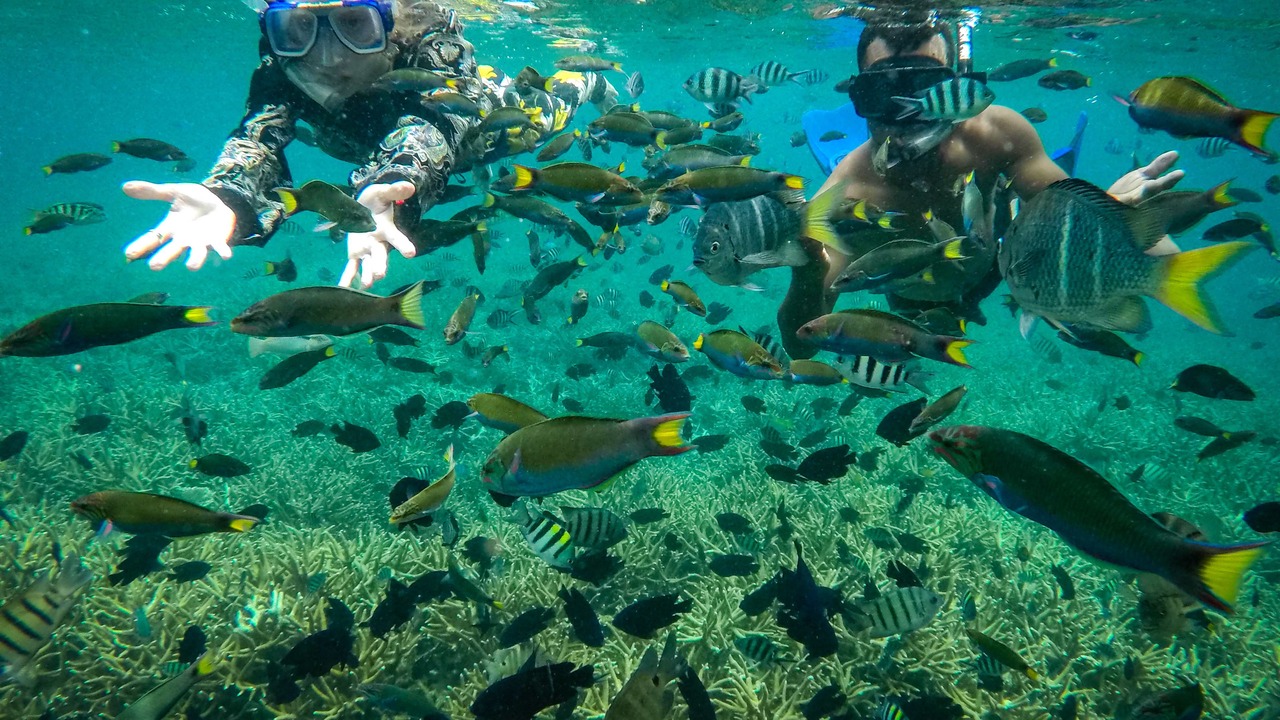 Photo of Others in Kampung Pasir Hantu