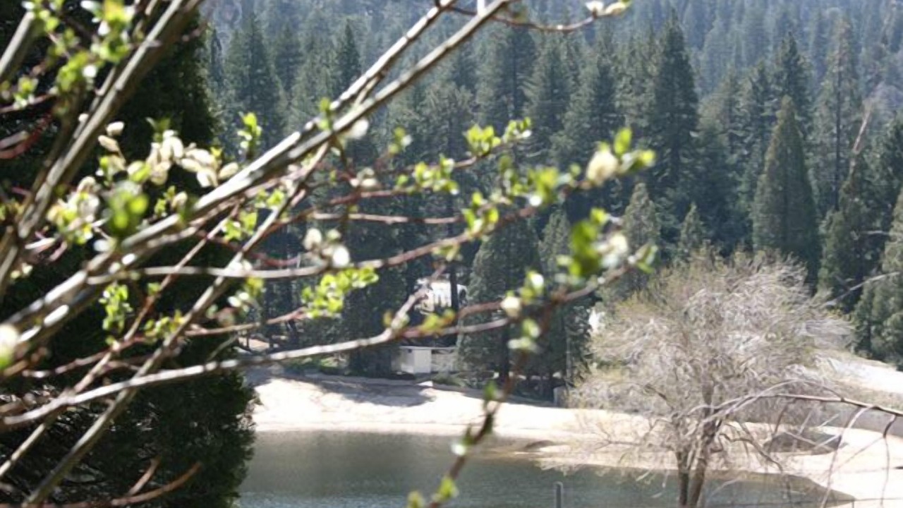 Photo of Bedroom in Crestline