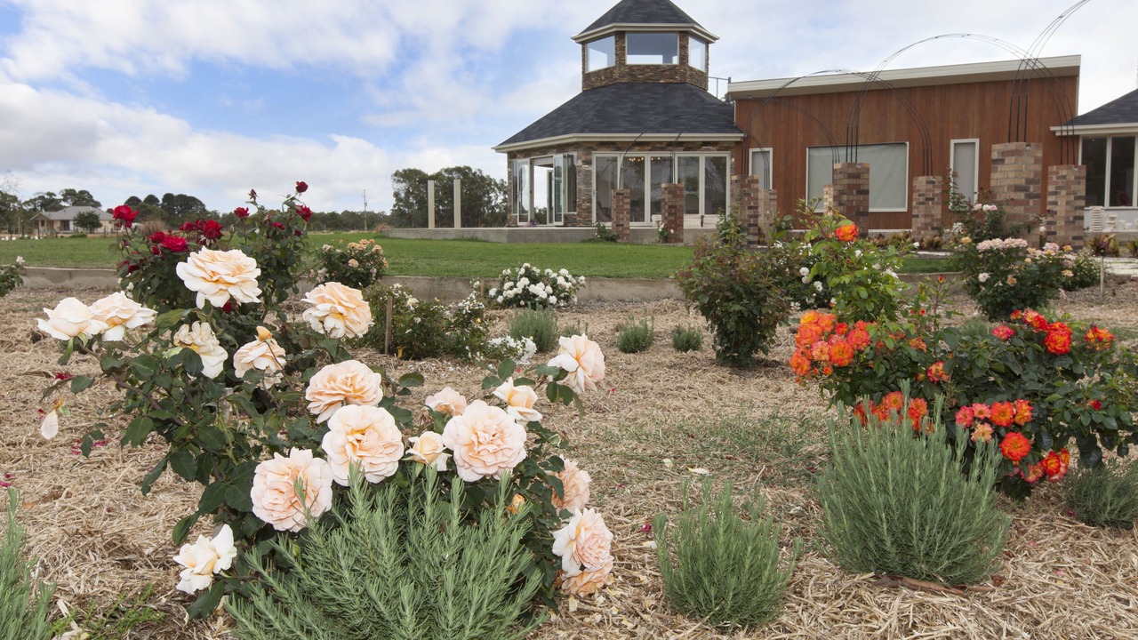 Photo of Outdoor in Pomonal